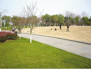 ��һ·֮�����ɉK�ݵس��F(xi��n)��Ȼ��ͬ����ò��