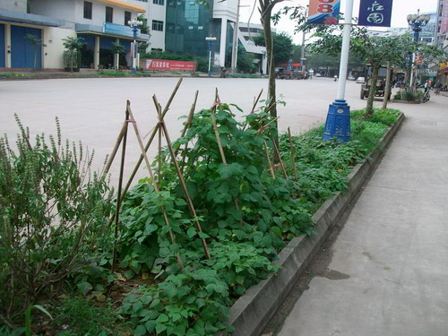 �ף������挍�桰QQ�r�����G����׃��Ȼ�ˈ@