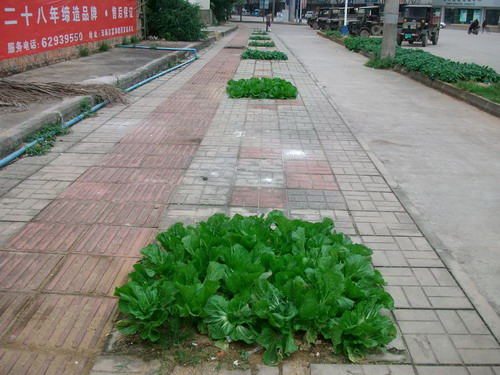 �ף������挍�桰QQ�r�����G����׃��Ȼ�ˈ@