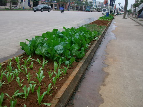 �ף������挍�桰QQ�r�����G����׃��Ȼ�ˈ@