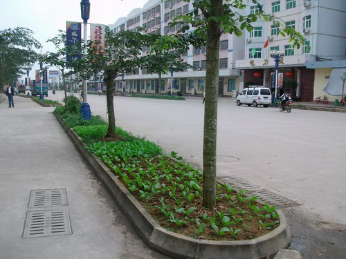 �ף������挍�桰QQ�r�����G����׃��Ȼ�ˈ@