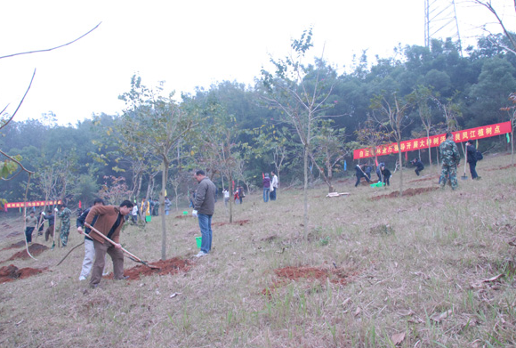 �V���֘I(y��)�نT���M(f��i)ُ�I����ֲ��