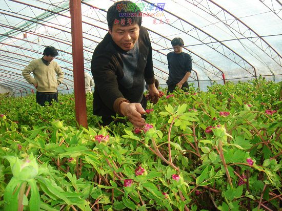 20�f��߻�ĵ����m(x��)����