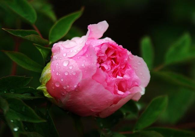 ����¶ˮ���ĵ��