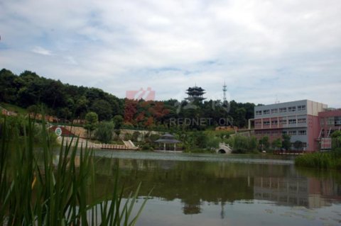 (�Lɳ�h��ɳ�(zh��n)�������@��С�����z��2009��7��5�ա�)