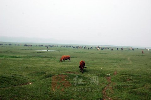 (���_�����_����ش��ԭ���z��2009��4��6�ա�)