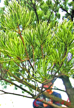 �V�ݣ��lΣԭʼֲ��������׬F�|ݸ