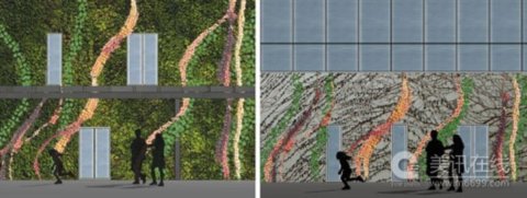 德克薩斯州植物研究院設計