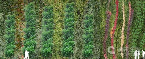 德克薩斯州植物研究院設計