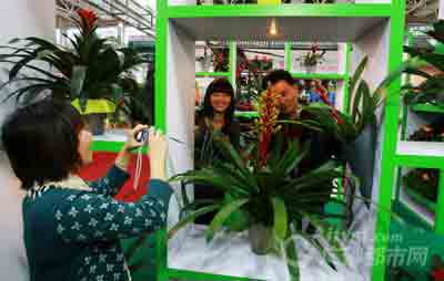 ǰ�텢�^�������ڻ�������Ӱ��