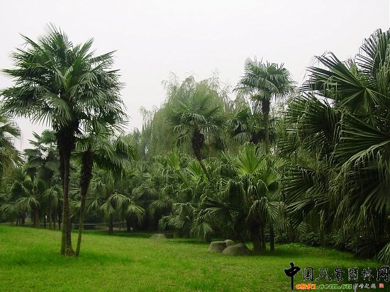 �ѿ��c�ؙ��M��