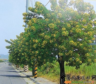 �S��������