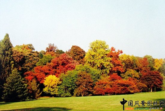 �ʘ��ֲ���c����M��