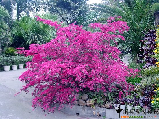 �t�^ľ����