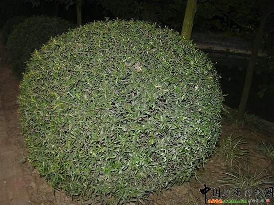 ���~ľ�ؙ쾰�^����