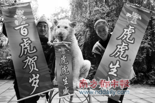 �^�ͻ��p��������