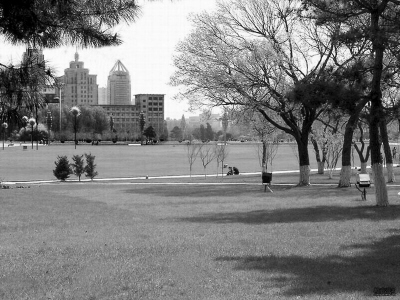 �L���Ļ��V��