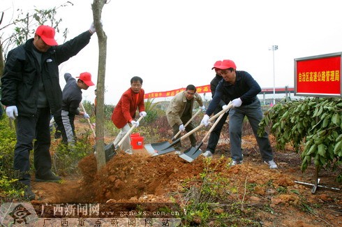 �V��ֲ��F���Ʉ�ʮ��