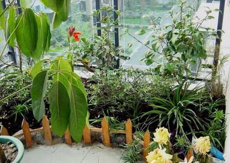 �b��˽�҈@�� ��������Լ���������Դ