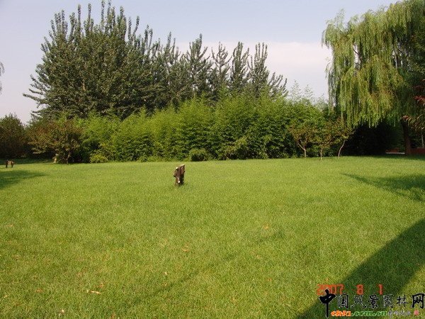 �Tܰ��Ʒ-�������@