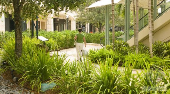 ÷�������^���@