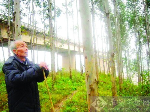 �V������ϡ"�޹�"10���x��ֲ�� �����Ӕ�������^