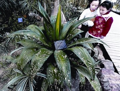 ��h��������m"������" �~���Ͽ���102��(g��)