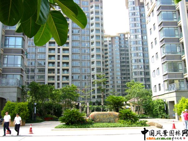 С�^(q��)��ھ��^ʯ