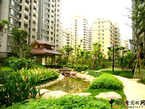 С�^(q��)�ֲ����^