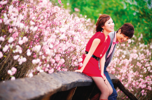 �V�ݣ��k���߲ʙѻ� ���ʰ��ꡰ���ˡ�