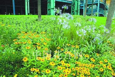 ����ֲ���쾰�{(di��o)ɫ��(�M�D)