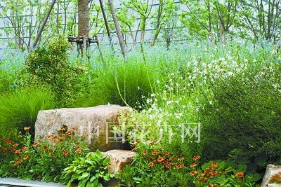 ����ֲ���쾰�{(di��o)ɫ��(�M�D)