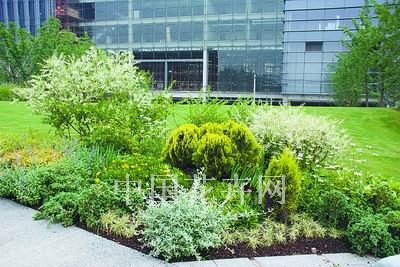 ����ֲ���쾰�{(di��o)ɫ��(�M�D)