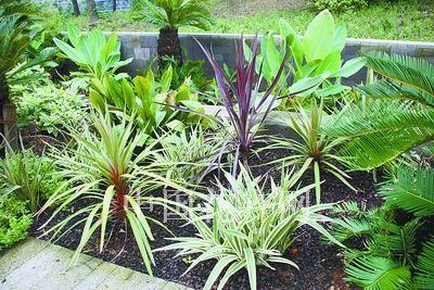 ����ֲ���쾰�{(di��o)ɫ��(�M�D)