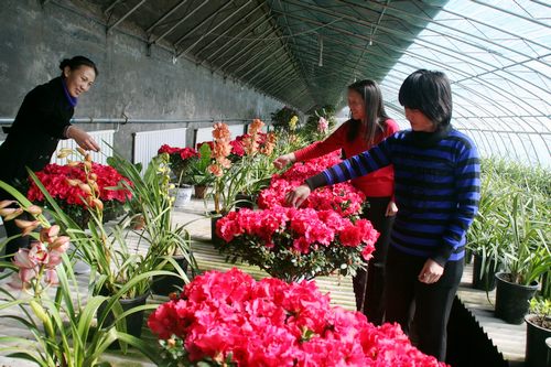 �������ĺ��(zh��n)�ļ��r��ʢ�_ �������䌍���ļ�������