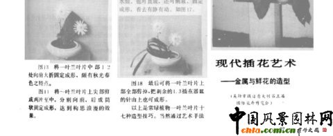 �廨ˇ�g���~Ƭ���ͼ���