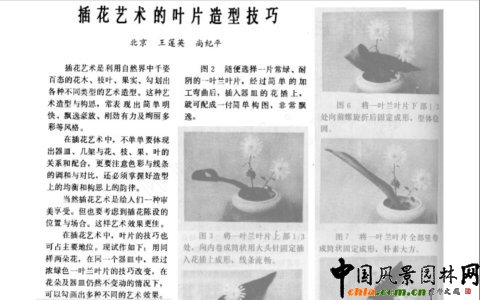 �廨ˇ�g���~Ƭ���ͼ���