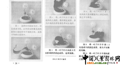 �廨ˇ�g���~Ƭ���ͼ���