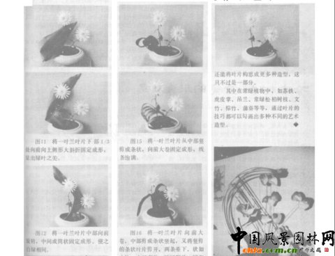 �廨ˇ�g���~Ƭ���ͼ���