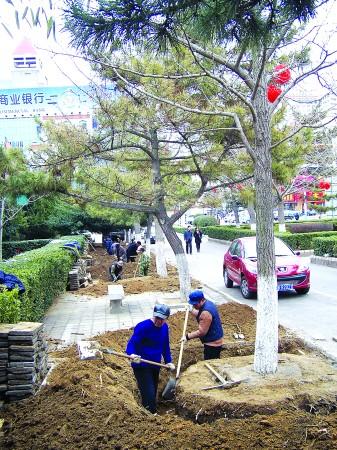 �h��ǹ��@�ؽ�5�Ŀ����