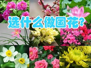 ����֮�x�Ҷ�δ�Q �����˴�����������