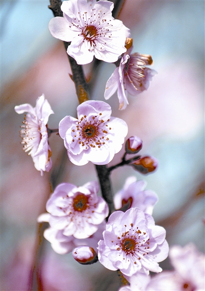 ����÷�����G��