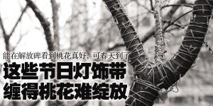 �ؑc����ű����н��һ��ȴ�ǽ��F ���p�仨�y�_