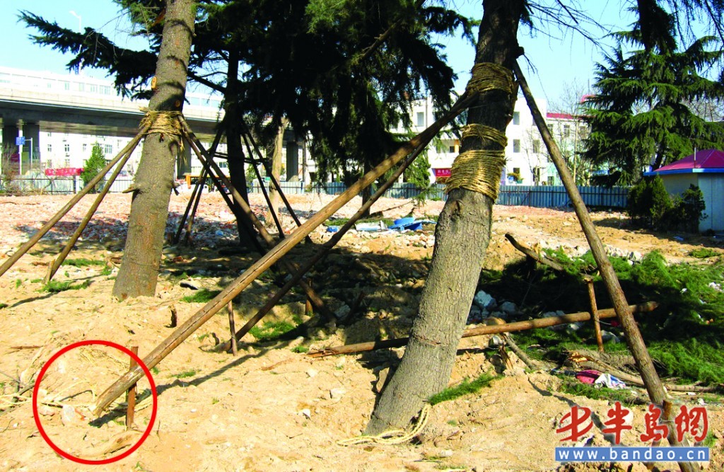 ���u������ѩ�������R������� ���֘�ľ�F(xi��n)�ᵹ�F(xi��n)��