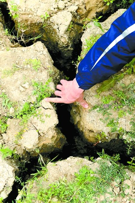 3��16�����V���|�m�h����ˮ���������򺵳��F��10�������ҵ��ѿp��