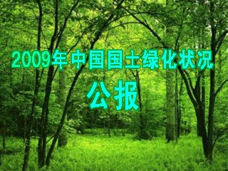 2009���Ї������G����r����