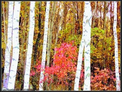 �񴺹����I�G���i��ʮ���N �޷N�����V�N�ܘ�