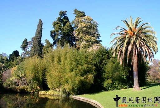 �����@�ְlչ�F��