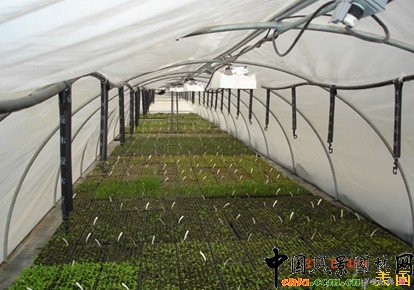 �M������