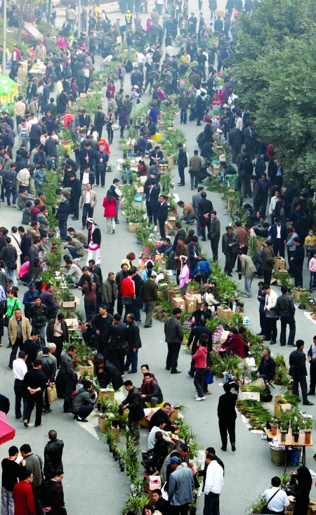 �ؑc���m�������Y5.2�|Ԫ �ϴ��������Ҽ��{ݮ����